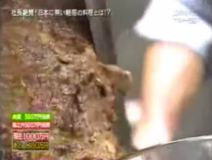 マネーの虎　トルコ料理ケバブを日本に広めたい　あの堀之内社長が金を出す - YouTube (16)